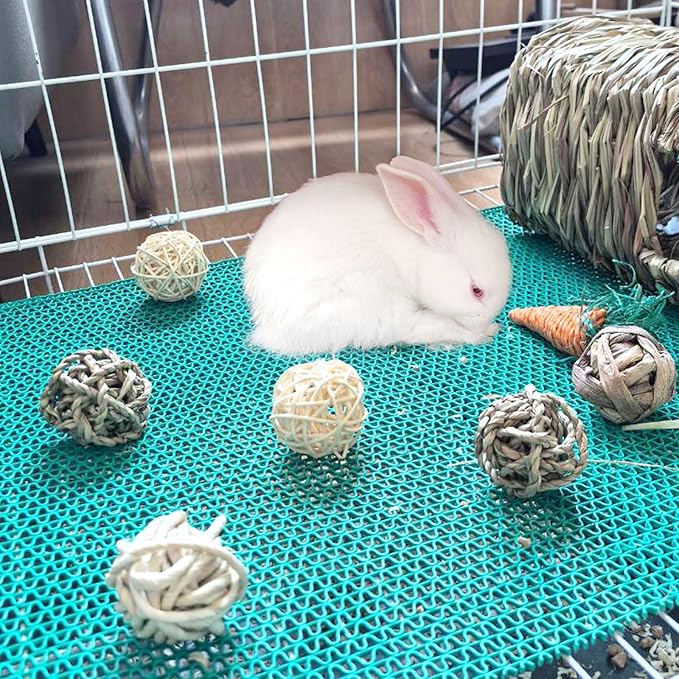 Hamiledyi 30PCS Rabbit Grass Balls 1.96in Guinea Pig Balls Small Animal Activity Enrichment Toy for Bunny Chinchilla Hamster Gerbil Grinding Playing
