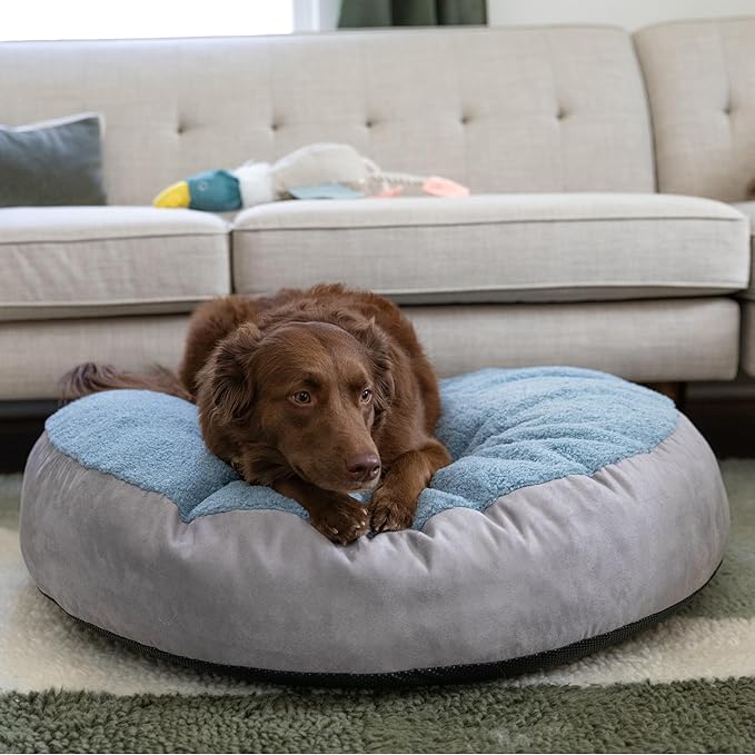 JAXX Robbi Dog Bed Bean Bag – Round Bed with Machine Washable Cover and No-Slip Base - Supportive Memory Foam for Senior Dogs & Joint Pain Relief - Ultimate Comfort & Luxury - Medium, Blue/Grey