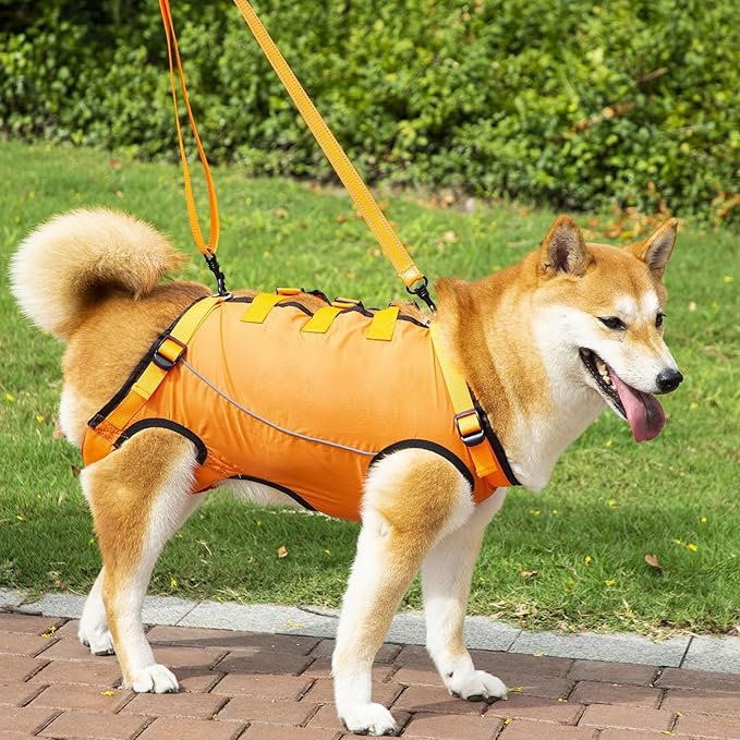 Adjustable Dog Harness for Elderly Pet with Padded Belt and Breathable Design Disabled Pet Lift Slings - Gray - L