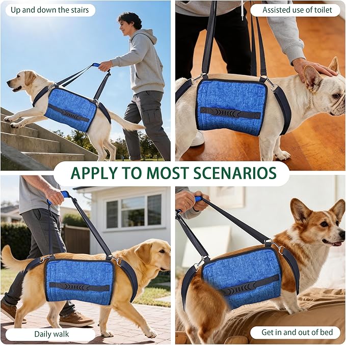 Dog Lift Harness, Dog Sling for Small Medium Dogs, Breathable Dog Support Harness for Senior Injured Disabled Dogs, ACL Surgery Arthritis Recovery Mobility Aid (XXL)