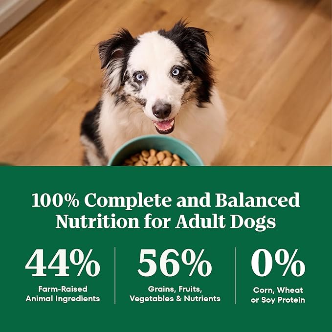 Nutro Natural Choice Dry Dog Food, Adult Dog Food Dry Chicken and Brown Rice Recipe, 5 lbs.