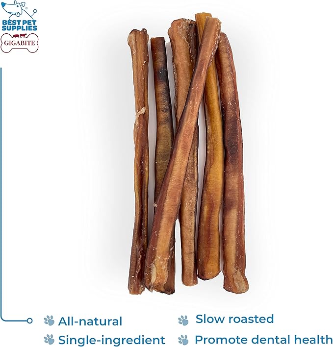 GigaBite Bully Sticks for Dogs All Natural Beef Pizzle Dog Chews, Odor & Rawhide Free Dog Treats, Long Lasting High Protein Chews Digestible Dental Dog Treat - Sticks (Premium 12"), Pack of 6