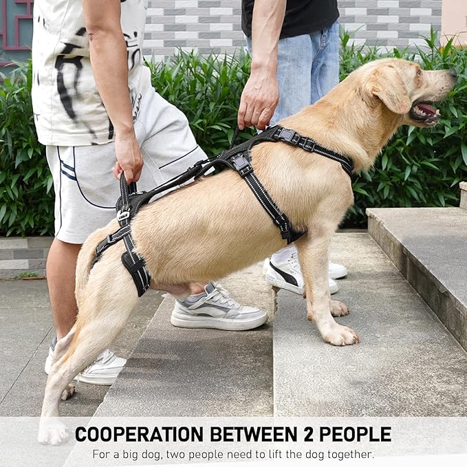 COODEO Mobility Dog Lift Harness, Support Sling & Walking Sling for Dogs, Pet Rear Leg Rehabilitation Support Vest, Dog Carrier for Senior Dogs with Joint Injuries, Arthritis, Up Stair (Black, XL)