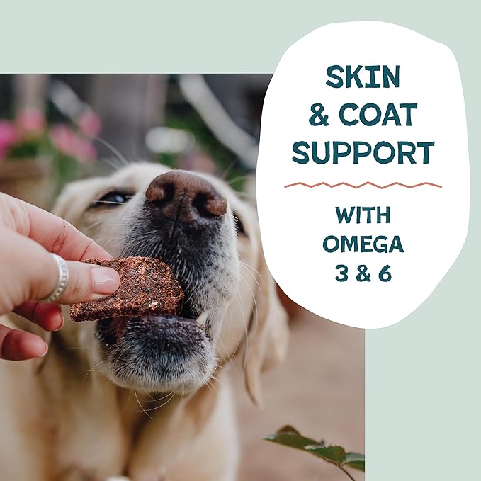 Shameless Pets Jerky Bites Treats, Salmon Loves Butternut- Healthy Dog Chews for Skin & Coat Support with Omega 3 and 6- Dog Treats with Real Wild-Caught Salmon- Free from Grain, Corn & Soy - 14 oz