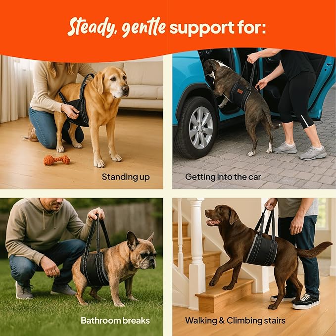 Dog Lifting Harness - Mobility Sling for Weak Back Legs - Rear Support with Soft Fleece Pad, Adjustable Straps & Padded Handle for Recovery & Senior Dogs - Machine Washable (Size XL)