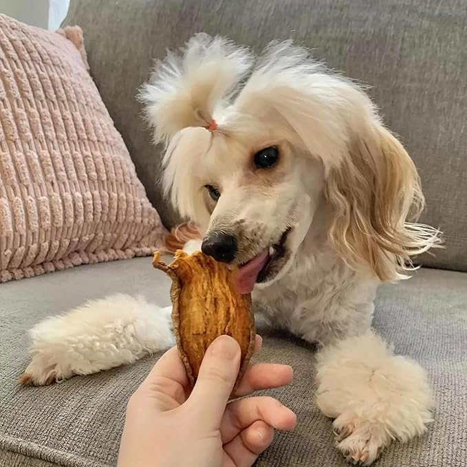 Pupford Crunchy Jerky Treats for Dogs & Puppies, Made in USA, Single Ingredient, No Fillers (Sweet Potato, 8 oz)