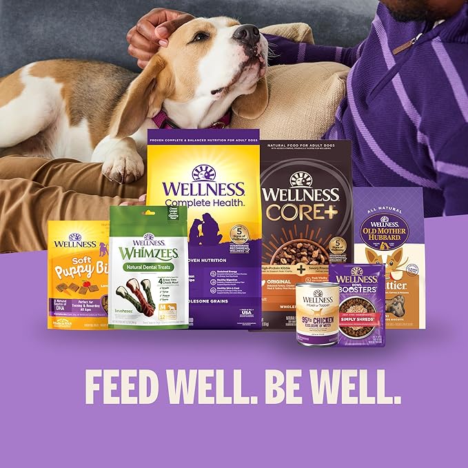 Wellness Old Mother Hubbard Milk Bar P'Nutty B-Day Party, Small Dog Treats, Crunchy Peanut Butter Biscuits with Birthday Icing (10 Ounce Bag)