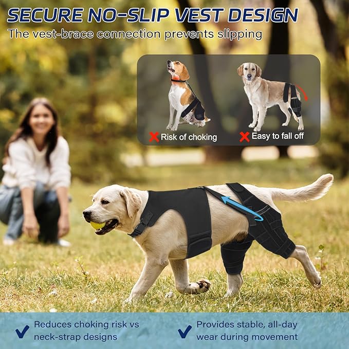 Dog Knee Brace for Torn ACL Hind Leg, Dog Leg Brace Helps with Pain from Torn CCL, Luxating Patella, Ligament Injuries, L