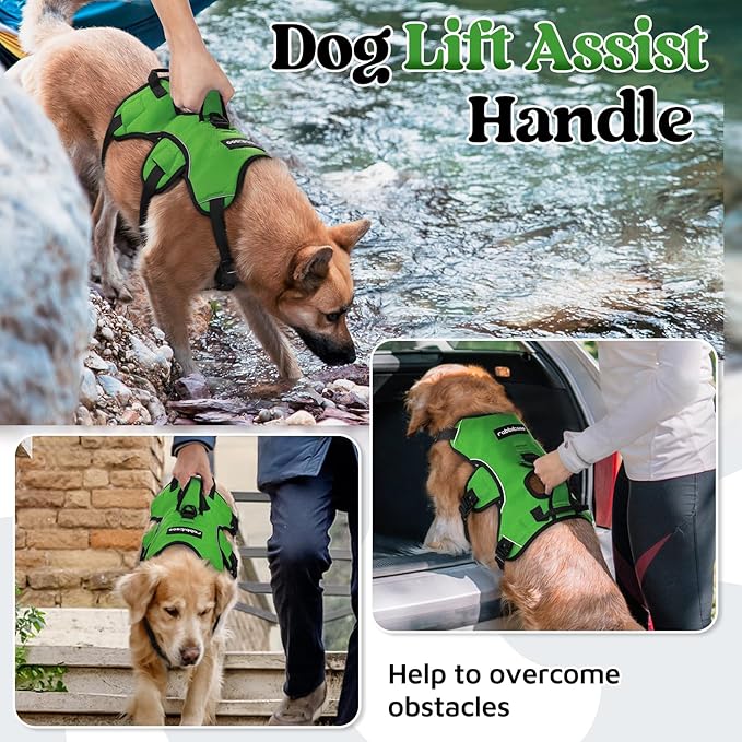 rabbitgoo Escape Proof Dog Harness, Soft Padded Full Body Pet Harness, Reflective Adjustable No Pull Vest with Lift Handle and Lesh Clip for Large Dogs Walking Hiking Training, L, Green