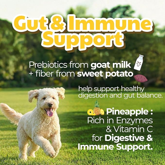 Freeze-Dried Goat Milk Dog Treats with Sweet Potato, Limited Ingredient Snack & Topper, Made in Korea, 1.76 oz (50g) (Pineapple)