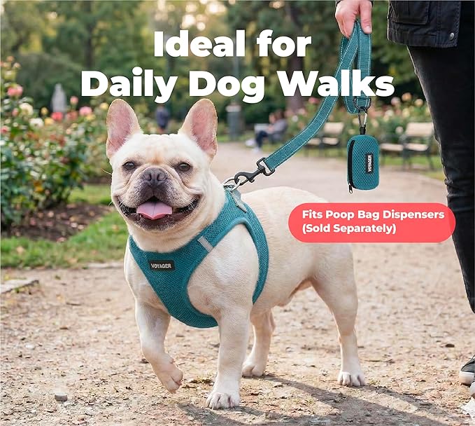 Best Pet Supplies Voyager Reflective Dog Leash or Collar with Neoprene Handle, for Small, Medium, and Large Breed Puppies, Cute and Heavy Duty for Walking, Running and Training - Turquoise (Leash), L
