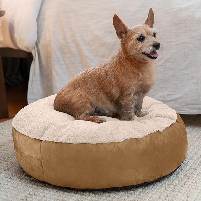 JAXX Robbi Dog Bed Bean Bag – Round Bed with Machine Washable Cover and No-Slip Base - Supportive Memory Foam for Senior Dogs & Joint Pain Relief - Ultimate Comfort & Luxury - Small, Cloud/Beige