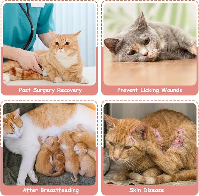 FEimaX Cat Surgery Recovery Suit Cat Onesie for Cats After Surgery Spay Surgical Cone of Shame Alternative Surgical Spay Suit for Female Cat, Post-Surgery or Skin Diseases Protection