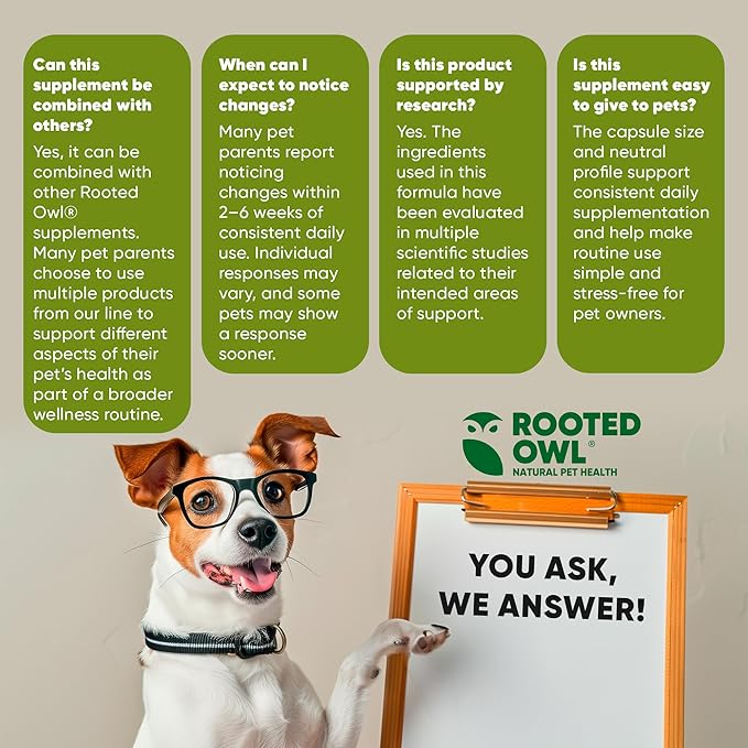 Rooted Owl Blood Support - Immunity, Recovery and Iron Supplement for Dogs & Cats - Anemia Support with Spirulina and Chlorella - 60/ct Vegan Capsules