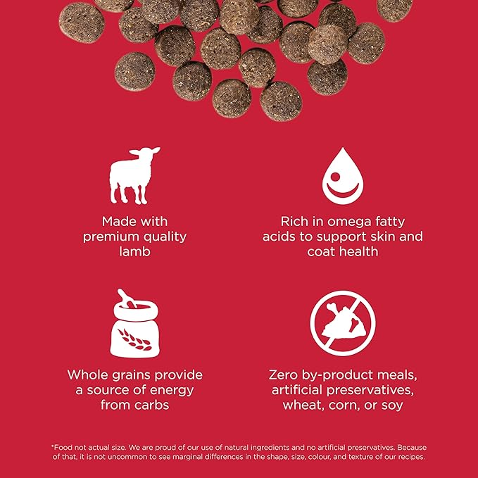 Go! Solutions Skin + Coat Care Lamb Dry Dog Food with Grains, Chicken-Free, Healthy Kibble with Omega-3s & 6s for Soft, Shiny Fur, for Puppies, Adults, & Seniors, 3.5 lb Bag