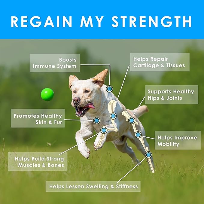 Hip and Joint Soft Chews for Dogs – 360 Count (Pack of 4 x 90) – Joint Supplement with Glucosamine, MSM, Chondroitin, Omega-3 – Large Value Pack – Chicken & Bacon Flavor