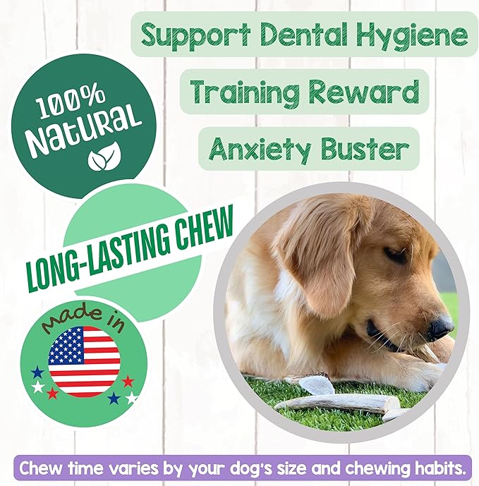 Nature Gnaws USA Deer Antlers for Dogs 4-7" (3 Count) - Mix of Split and Whole Pieces - Long Lasting for Small and Medium Breeds - Natural Dog Chew Bones