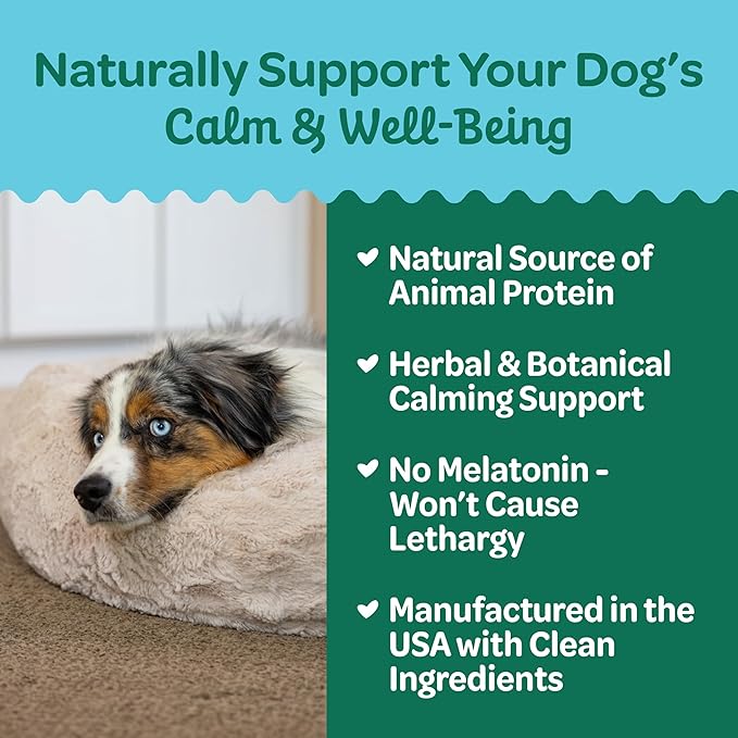 Wholesome Pride Functional Calming Support Turkey Jerky Bites, USA Made Calming Dog Treats - 8 oz