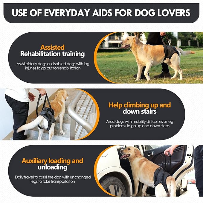 Dog Lift Harness | Harness for Large Dogs, Adjustable Hind Leg Support Sling for Elderly Injured Arthritic Disabled Dogs, Mobility & Rehabilitation Aid (XL)