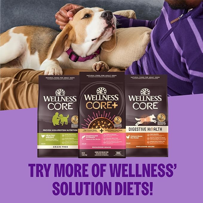 Wellness CORE Dry Dog Food, Grain-Free, High Protein, Natural, Healthy Weight Turkey & Chicken Recipe, (4-Pound Bag)