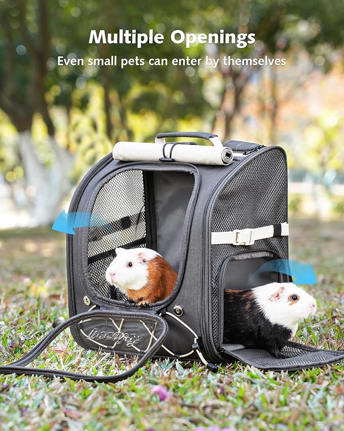 Pecute Small Pet Carrier, Breathable Small Animal Carrier with Transparent Bubble & Steel Frame, Safety Lock for Hamster, Rabbit, Bearded Dragon, Guinea Pig, Parrot, Ideal for Hiking, Vet Visits, Gray