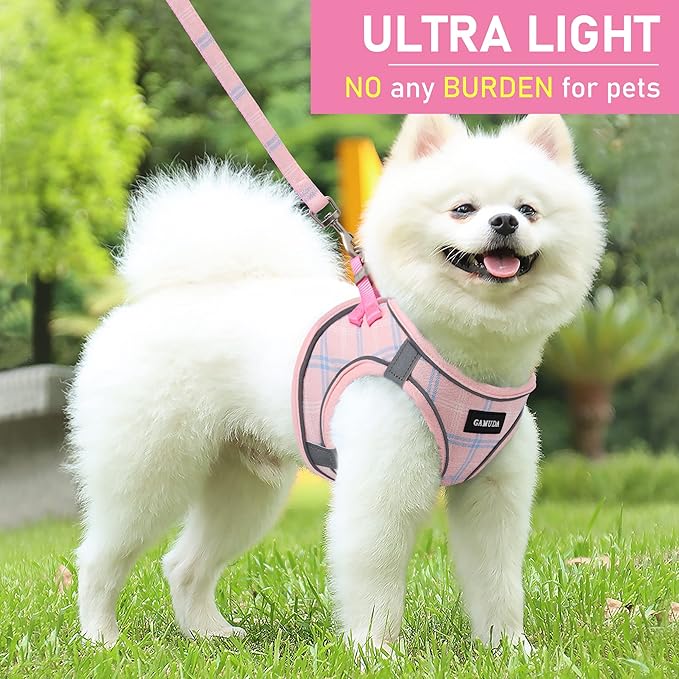 GAMUDA Small Dog Harness Collar and Leash Set, Step in No Chock No Pull Soft Mesh Adjustable Dog Vest Harnesses Plaid Reflective for Dogs Puppy Cats Kitten Rabbit (Pink, S)