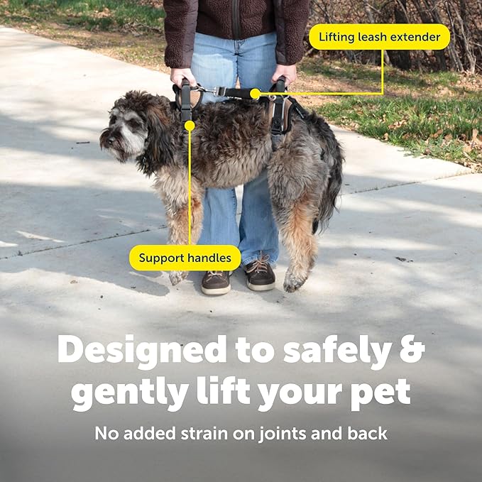 PetSafe CareLift Support Harness - Lifting Aid for Senior or Injured Dogs - Breathable Mesh - Machine Washable - Post-Surgery Dog Support - Medium