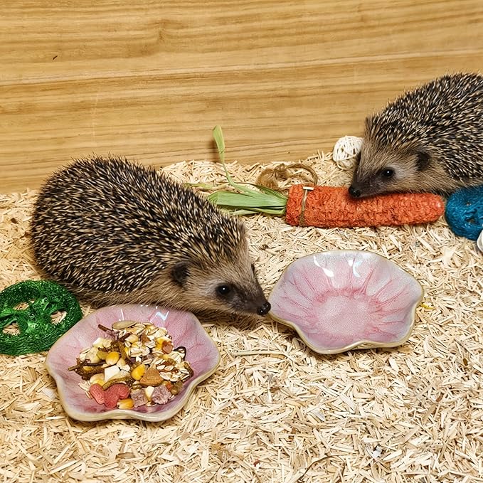 Kathson Ceramic Hamster Food Bowl, Guinea Pig Food Bowls,Rats Anti-Turning Feeding Dish,Small Animals Water Drinking Bowls for Squirrel, Chinchilla, Hedgehog, Gerbil, Dwarf Syrian (2 pcs Pink)