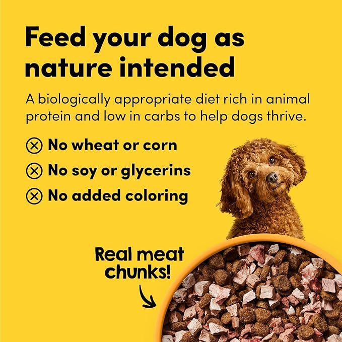 Raw Freeze Dried Dog Food RawMix50 Premium Cage-Free Chicken Recipe, Protein Rich, Includes Kibble, Non-GMO, No Wheat or Corn, 12 oz