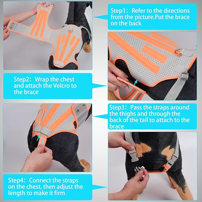 Dog Back Brace for Arthritis, Dog Hip Brace for IVDD, Frame Support Harness for Back，Keeps The Back Stable and Reduces Movements and Pains（L）