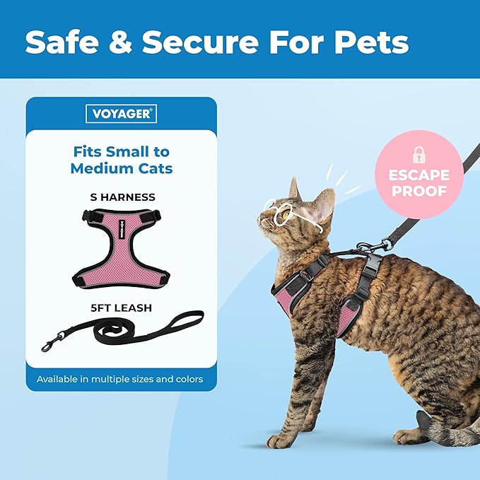 Voyager Escape-Proof Step-in Lock Cat Harness & 5ft Neoprene-Handle Leash Set All-Weather Mesh with Reflective Stitching for Small to Large Cats by Best Pet Supplies, Black Trim-Pink (327), S