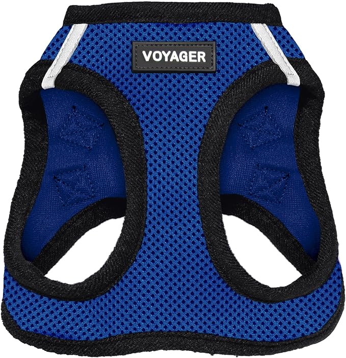 Best Pet Supplies Voyager Step-in Air Harness - All Weather Mesh, Reflective, No Pull Harness for Dogs, Cats - Secure with Hook & Loop Fastener, Buckle, Double D-Rings - Royal Blue/Black Trim, S