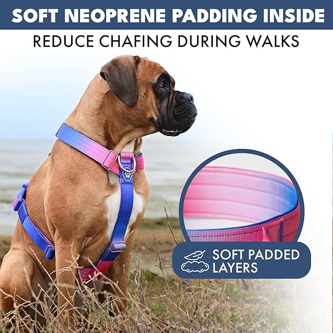 Spark Paws No Pull Dog Harness with Handle for Large Dogs, Heavy Duty Dog Harness for Big Strong Breeds, Adjustable, Y Shaped Padded Halter Design with Front Clip - Snow Cone - M