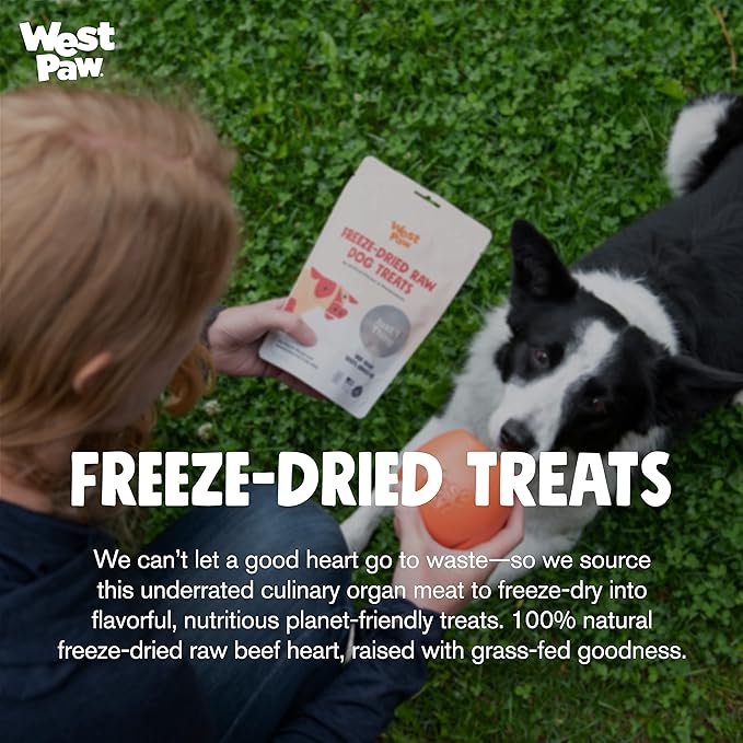 West Paw All-Natural Raw Freeze-Dried Dog Treats – Farm-Fresh Beef Heart Training Treats for Dogs with Iron, Folate, B-Vitamins – Wholesome Canine Treat for Puppies, Senior Dogs – 2.5 Oz.