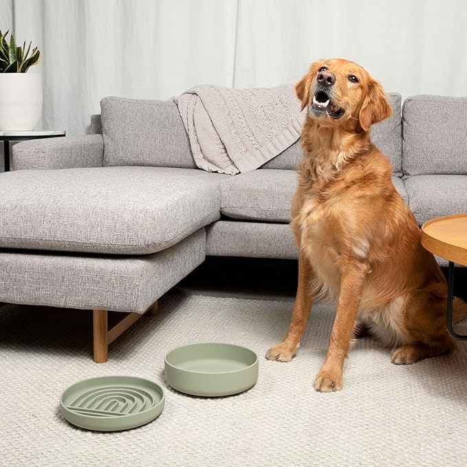 Should We Go? Dog Water Bowl - The Perfect Dish No-Spill, Less Mess Non-Tippable Water & Food Bowl, Silicone with Suction Cup Fits 8 Cups 9.5" Across x 2.5" Tall, Ideal for All Pets, Large-Terracotta