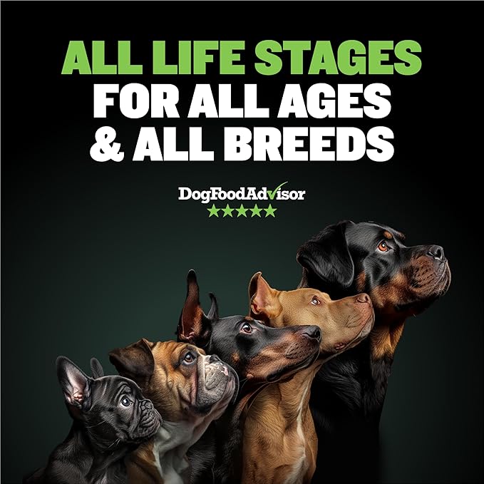 Bully Max 25/11 High Protein & Low Fat Dry Lamb Dog Food for Puppies and Adult Dogs - Chicken-Free Lamb Flavor - Natural Puppy Food for All Ages, Small and Large Breeds - Large Kibble Size, 15 lb. Bag