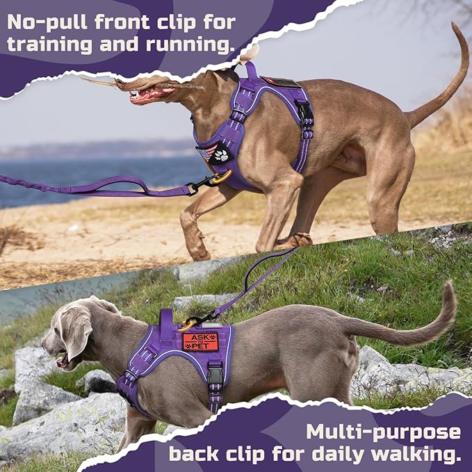 rabbitgoo Tactical Dog Harness Medium Sized Dog, No Pull Military Service Vest with Handle & Molle, Easy Control for Training Walking, Adjustable Reflective Straps, Purple, M