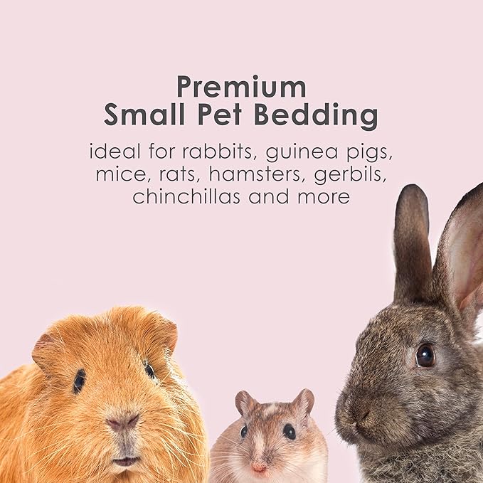 Kaytee Clean & Cozy Colors, Small Animal Bedding with Extreme Odor Control, Plum, 49.2 Liters
