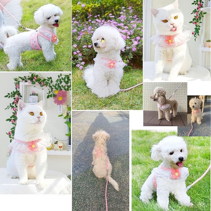 Cat Harness Collar and Leash Set, Sweet Lace Floral Kitten Collar, Escape Proof Puppy Chest Harness, Adjustable Cute Harness Leash Set for Cat Puppy Dog Outdoor Walking (Pink, S)