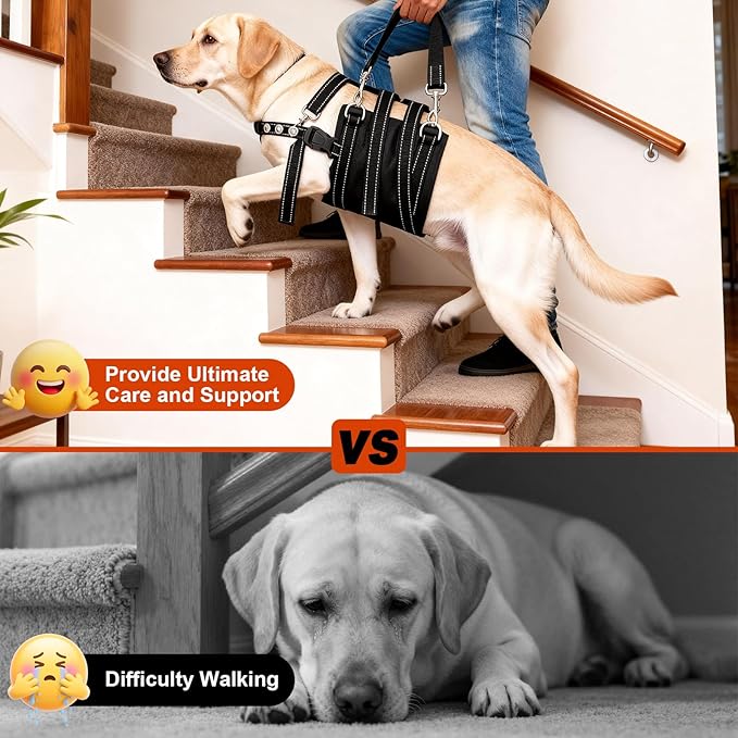 CWV Female Dog Sling for Back Legs, Dog Lift Harness, Magic Tape Dog Sling for Large Dogs Hind Leg Support, Medium, White ＆ Black