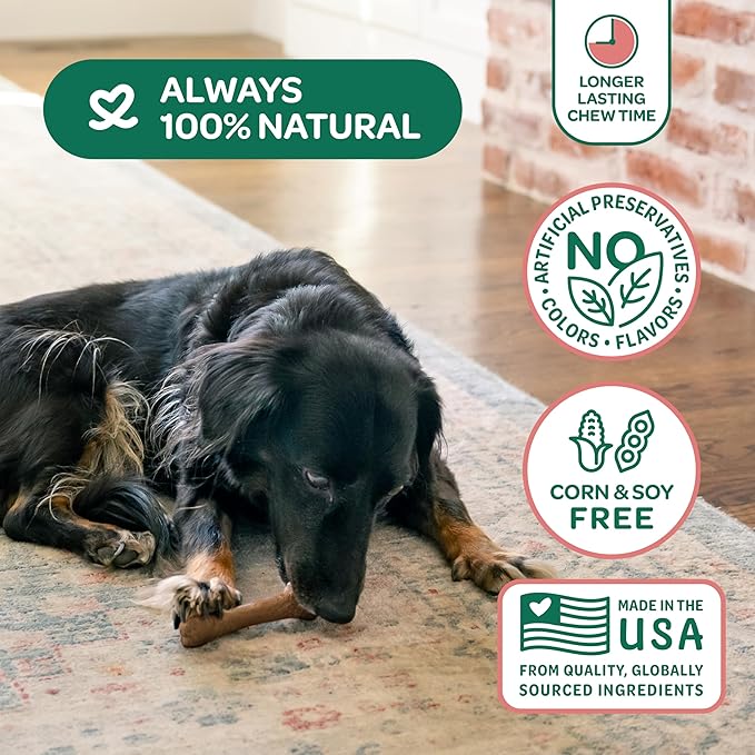 Wholesome Pride Natural & Healthy Dog Chews 2Pk for Small Dogs, Bacon Flavor, Made in the USA