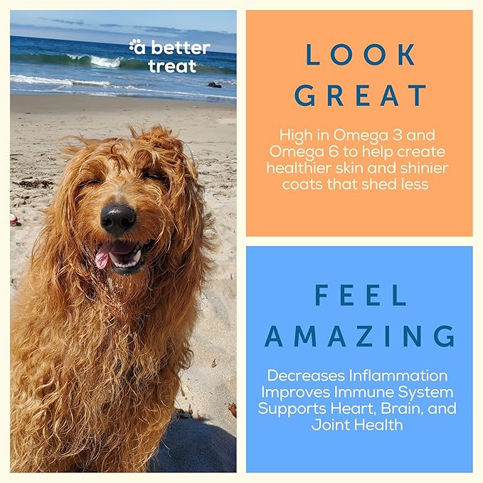 A Better Treat New Freeze Dried Salmon Dog Treats, Wild Caught, Single Ingredient | Natural High Value | Gluten Free, Grain Free, High Protein, Diabetic Friendly | Natural Fish Oil | Made in The USA
