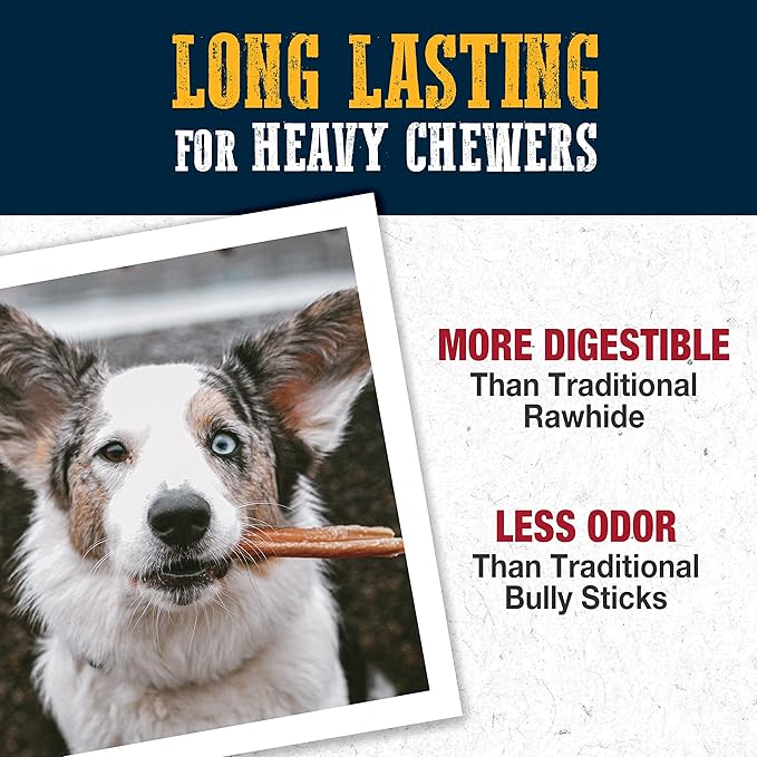 Cadet Bully Hide Sticks for Small Dogs – All-Natural Beef Pizzle, High Protein, Low Fat, Long-Lasting, Grain & Rawhide-Free Dog Chews for Aggressive Chewers, Small (1 Count) (Pack of 2)