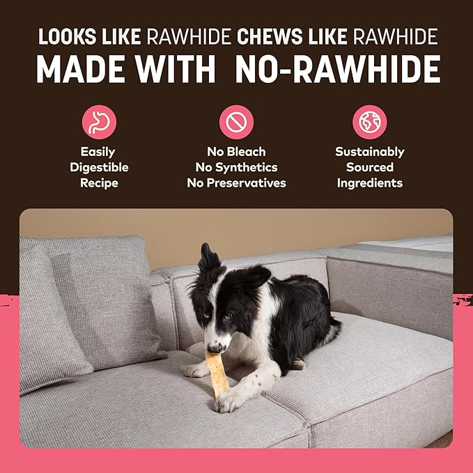 Earth Animal No Hide Strips - Natural Rawhide Free Dog Chew Strips, Salmon - 10 Count Value Pack