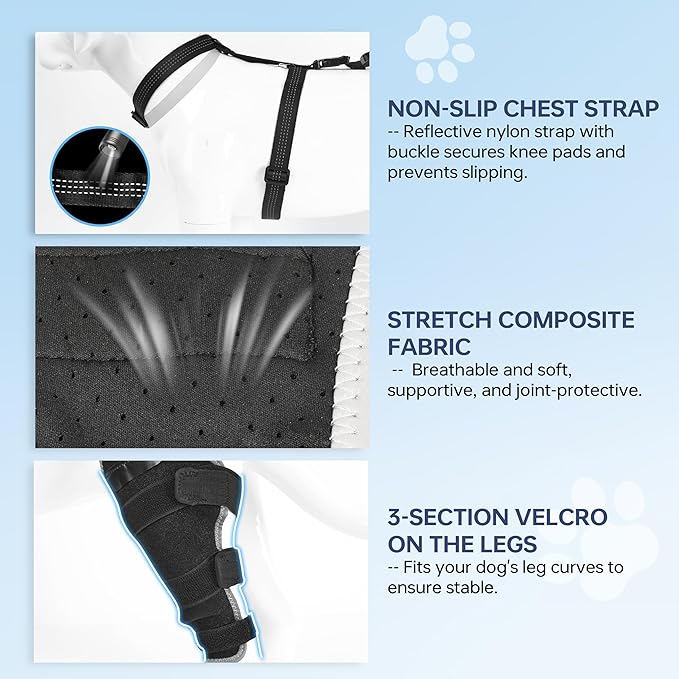 Dog Knee Brace for Back Leg - Adjustable Breathable Canine Leg Wrap with Hot & Cold Gel Packs - Supports Large & Medium Dogs with Arthritis, Hip Dysplasia, ACL Injuries, Right Hind Leg (XL)