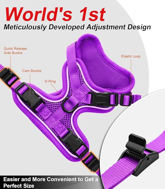Cat Harness and Leash for Walking Escape Proof Soft Adjustable Cat Leash Breathable Comfortable Vest Easy to Wear Kitten Harness for Outdoor Travel (Purple, XS (4-6lb))