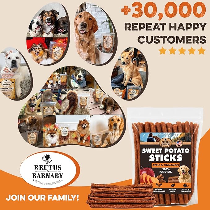 BRUTUS & BARNABY USA Sweet Potato Dog Treats - Crunchy Grain Free Cinnamon Apple Sticks, Promotes Positive Gut Health with Natural Anti-Diarrhea Properties (Cinnamon & Apple, 8 oz)