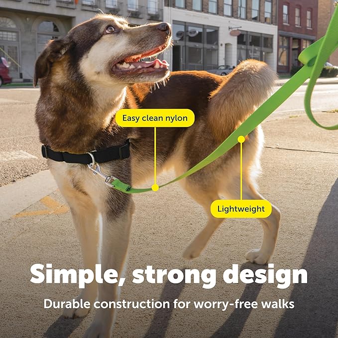 PetSafe Nylon Leash - Strong Nylon Dog Leash for Everyday Walks - Durable Pet Leash with Quick Attach Leash Clip - Comfortable Soft Grip - 6 Feet - Apple Green