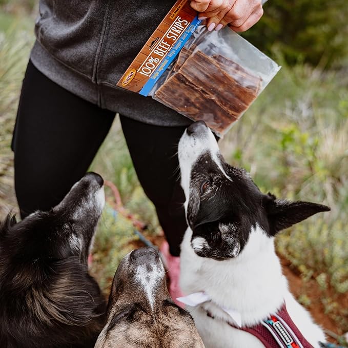 Cadet 100% Beef Strips Dog Chew Sticks,Long-Lasting -Ingredient Natural Treats,High-Protein,Perfect for Small & Large Breeds,12 oz,(Pack of 2)