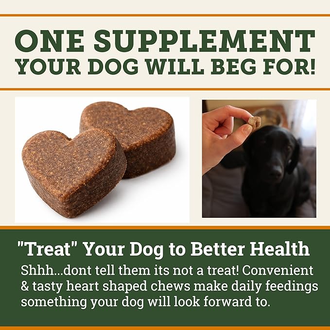 DogBone Krillagen Chews for Dogs – 90 Count Supplement - Type 2 Collagen for Hip & Joint Support – Krill Powder Omega 3 DHA + EPA for Heart, Skin, Coat - Active, Large Breed, & Senior Canine Health